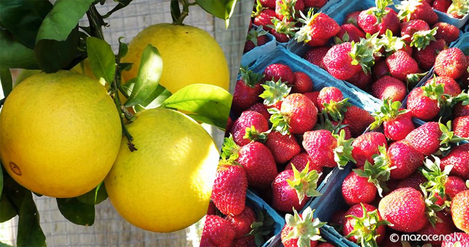 Zemenes un citrusaugļi