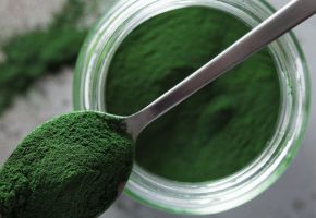 Natural Green 3