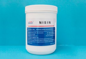Nizīns